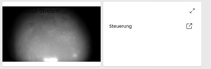 Ohne Titel