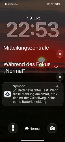 Die Testmeldung (Push über die Kachel-Visualisierung) auf dem Handy. So prüfst du, ob der Zustellweg funktioniert. Echte Meldungen sehen genauso aus und fassen mehrere Befunde in einer Nachricht zusammen.