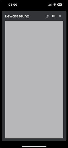 96062