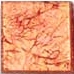 Mosaik Jasper Glass Red Format 4,7-4,7 einzeln.jpg
