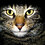 muerrethecat1